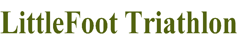 Littlefoot07